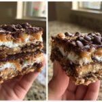 No-Bake S'mores Delights