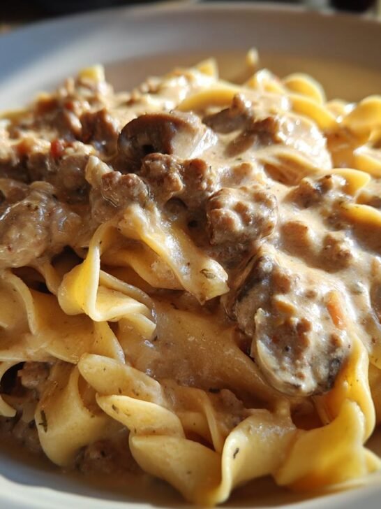 A close-up, appetizing shot of Creamy Turkey Stroganoff served over wide egg noodles in a white bowl.