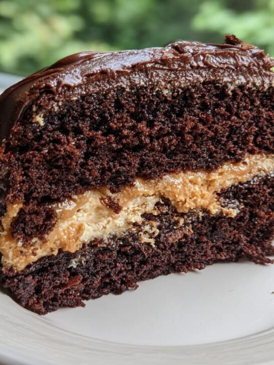 A close-up of a rich slice of Gooey Chocolate Peanut Cake showing dark chocolate layers and creamy peanut butter filling.